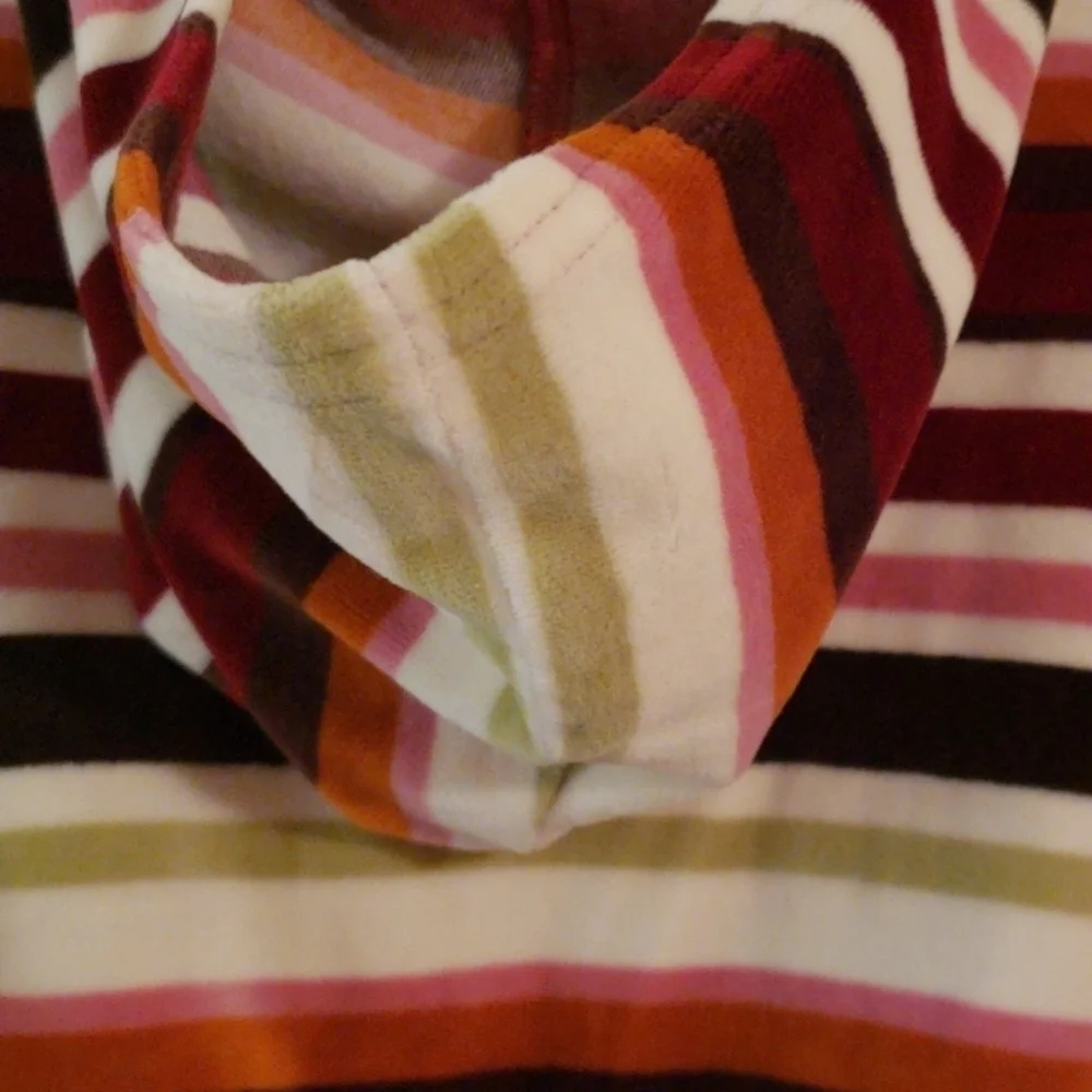 Gymboree Velour Striped Hoodie